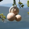 Chwyty treningowe YY Vertical Climbing Balls