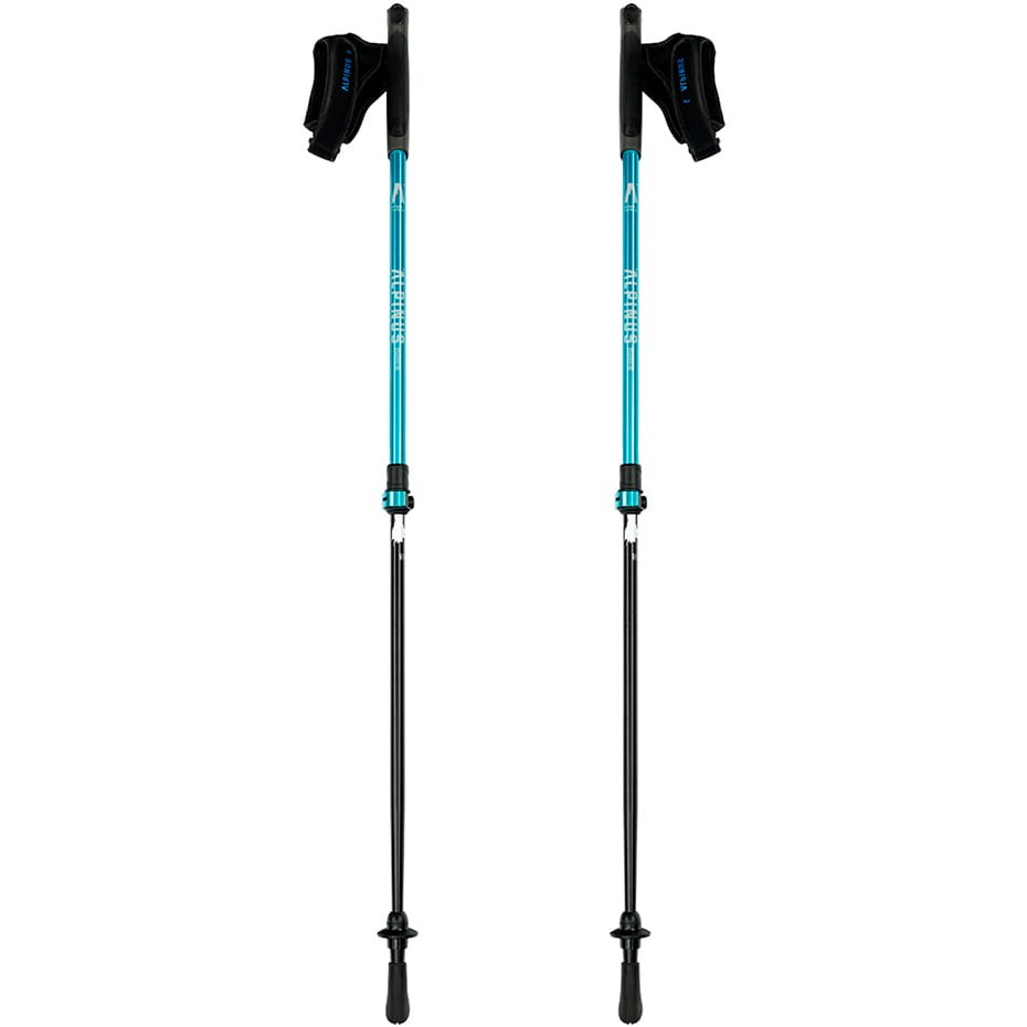 Kije nordic walking Alpinus Lysefjord NX43602 niebieski