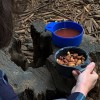 Kubek turystyczny z pokrywką Humangear cupCup