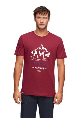 Koszulka męska T-shirt Alpinus Polaris bordowy