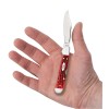 Nóż składany Case Knives 61749L SS Pocekt Worn Corn Cob Jig Mini Copperlock czerwony